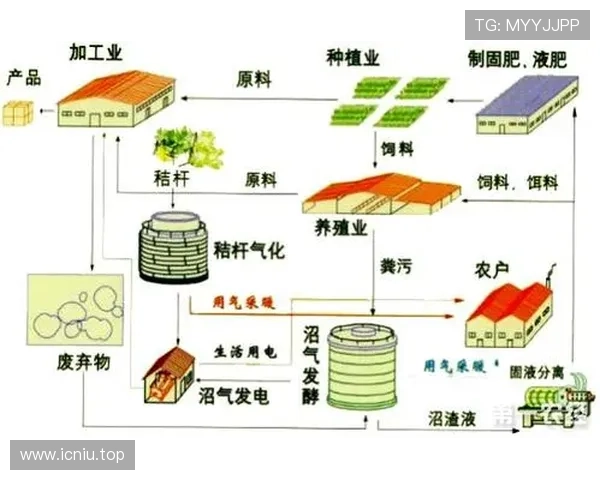 以九零企业家为中心的新时代创新与可持续发展路径研究趋势分析