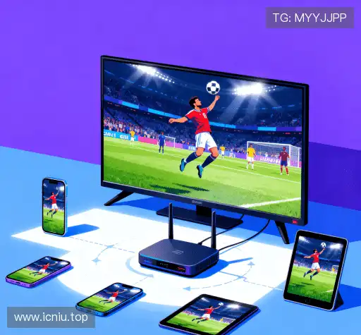 为什么选择我们